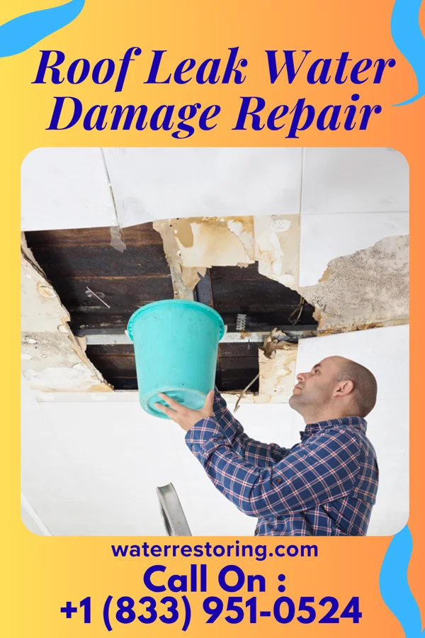 Roof Leak Water Damage Repair in Fetters Hot Springs-Agua Caliente, CA
